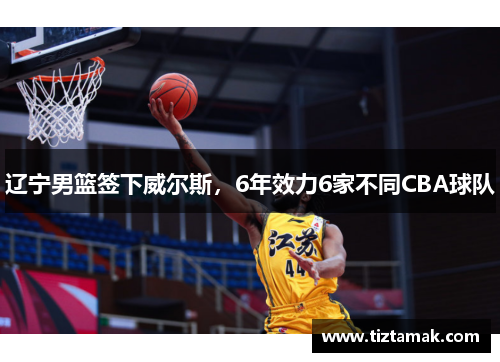 辽宁男篮签下威尔斯，6年效力6家不同CBA球队